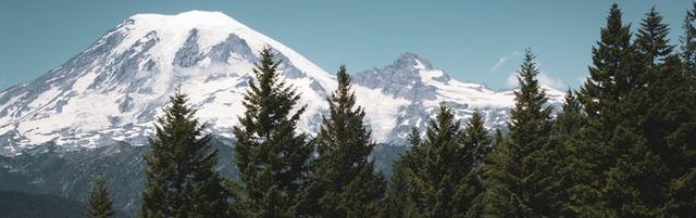 Mt. Rainier Hikes